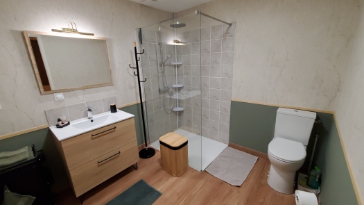 Salle d'eau avec lavabo, douche, sèche serviette électrique et WC